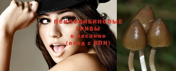 соль ск Алзамай